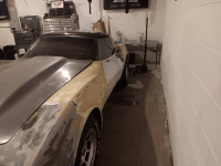 1981 Chevrolet Corvette for sale in Michigan (ID-138860)