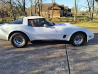 1981 Chevrolet Corvette for sale in Rosharon, Texas (ID-139698)