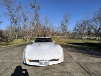 1981 Chevrolet Corvette for sale in Rosharon, Texas (ID-139698)