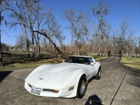 1981 Chevrolet Corvette for sale in Rosharon, Texas (ID-139698)