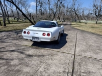 1981 Chevrolet Corvette for sale in Rosharon, Texas (ID-139698)
