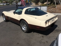 1981 Chevrolet Corvette for sale in Michigan (ID-139738)