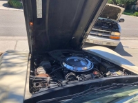 1981 Chevrolet Corvette for sale in Michigan (ID-139738)