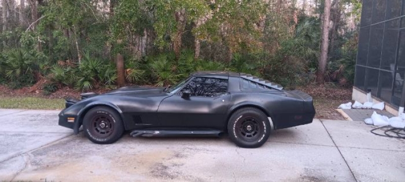 1981 Chevrolet Corvette for sale in Michigan (ID-140006)