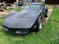 1981 Chevrolet Corvette for sale in Michigan (ID-140303)