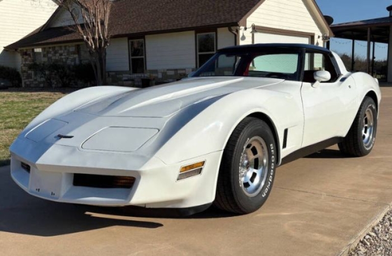 1981 Chevrolet Corvette for sale in Michigan (ID-141137)