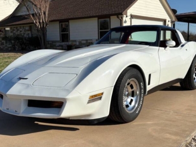 1981 Chevrolet Corvette for sale