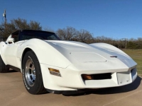 1981 Chevrolet Corvette for sale in Michigan (ID-141137)