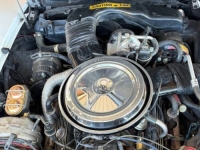 1981 Chevrolet Corvette for sale in Michigan (ID-141137)