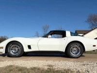 1981 Chevrolet Corvette for sale in Michigan (ID-141137)