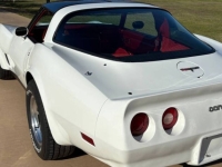1981 Chevrolet Corvette for sale in Michigan (ID-141137)