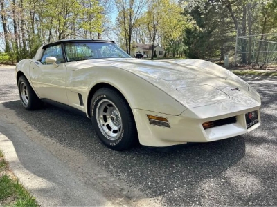 1981 Chevrolet Corvette for sale