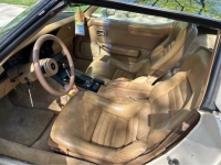1981 Chevrolet Corvette for sale in Michigan (ID-141988)