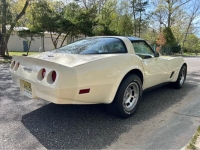 1981 Chevrolet Corvette for sale in Michigan (ID-141988)