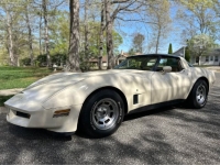 1981 Chevrolet Corvette for sale in Michigan (ID-141988)