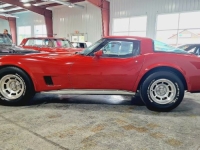 1981 Chevrolet Corvette for sale in Michigan (ID-142005)