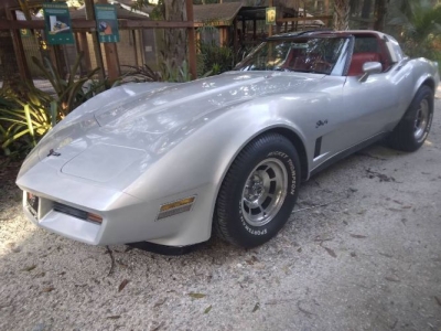1981 Chevrolet Corvette for sale