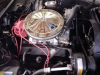 1981 Chevrolet Corvette for sale in Michigan (ID-143758)