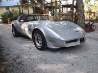 1981 Chevrolet Corvette for sale in Michigan (ID-143758)