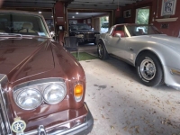 1981 Chevrolet Corvette for sale in Michigan (ID-143758)