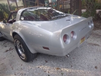 1981 Chevrolet Corvette for sale in Michigan (ID-143758)