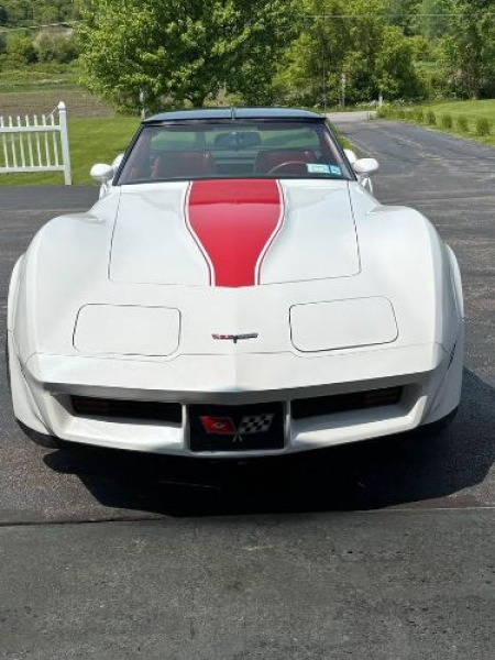 1981 Chevrolet Corvette for sale in Michigan (ID-143855)