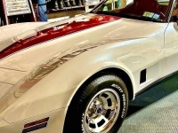 1981 Chevrolet Corvette for sale in Michigan (ID-143855)