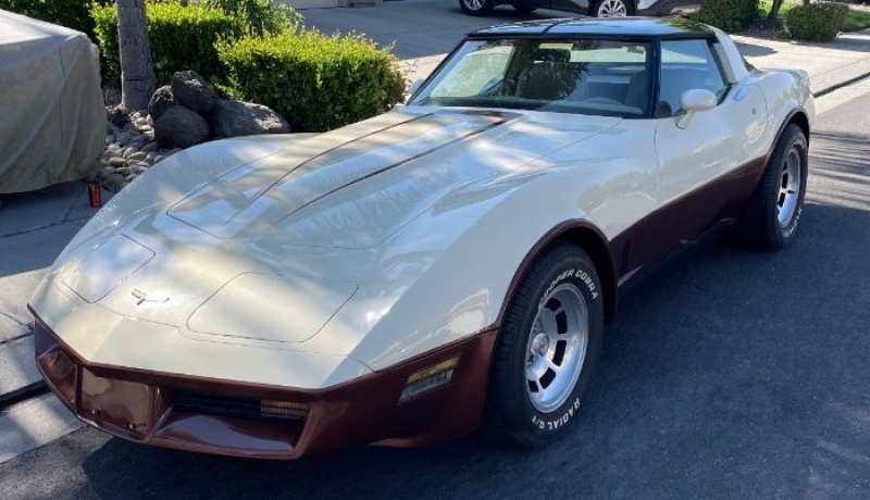 1981 Chevrolet Corvette for sale in Michigan (ID-144196)