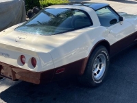 1981 Chevrolet Corvette for sale in Michigan (ID-144196)