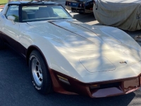 1981 Chevrolet Corvette for sale in Michigan (ID-144196)