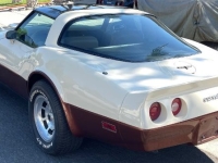 1981 Chevrolet Corvette for sale in Michigan (ID-144196)
