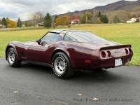 1981 Chevrolet Corvette for sale in Bedford, Pennsylvania (ID-146118)