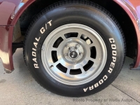 1981 Chevrolet Corvette for sale in Riverhead, New York (ID-161642)