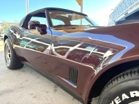 1981 Chevrolet Corvette for sale in Riverhead, New York (ID-161644)