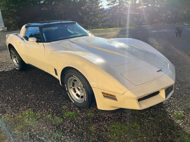 1981 Chevrolet Corvette for sale in Michigan (ID-162305)