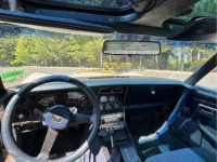 1981 Chevrolet Corvette for sale in Michigan (ID-162305)