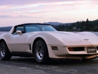 1981 Chevrolet Corvette for sale in Michigan (ID-162305)