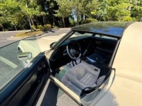 1981 Chevrolet Corvette for sale in Michigan (ID-162305)