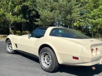1981 Chevrolet Corvette for sale in Michigan (ID-162305)
