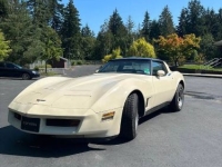 1981 Chevrolet Corvette for sale in Michigan (ID-162305)