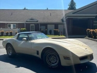 1981 Chevrolet Corvette for sale in Michigan (ID-162305)