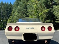 1981 Chevrolet Corvette for sale in Michigan (ID-162305)