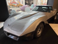 1981 Chevrolet Corvette for sale in Michigan (ID-162983)