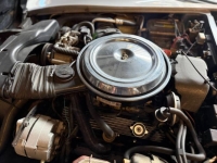 1981 Chevrolet Corvette for sale in Michigan (ID-162983)