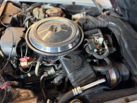 1981 Chevrolet Corvette for sale in Michigan (ID-162983)