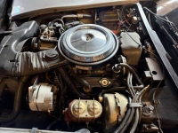 1981 Chevrolet Corvette for sale in Michigan (ID-162983)