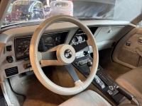 1981 Chevrolet Corvette for sale in Michigan (ID-162983)