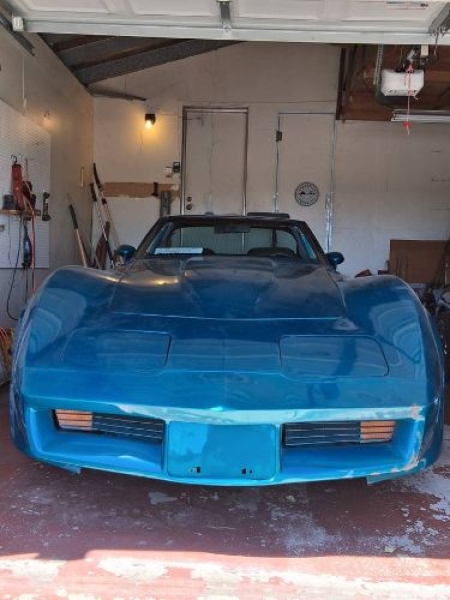 1981 Chevrolet Corvette for sale in Michigan (ID-164285)