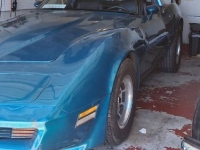 1981 Chevrolet Corvette for sale in Michigan (ID-164285)