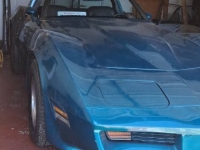 1981 Chevrolet Corvette for sale in Michigan (ID-164285)